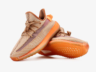 Adidas Yeezy Boost 350 V2 Clay foto 6