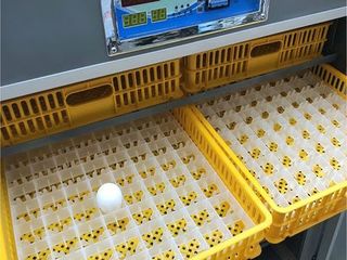 Инкубатор промышленный 528 яиц, автоматический HHD 528/Incubator 528 ouă automat industrial/Livrare foto 1