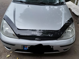 Ford Focus фото 1