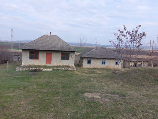 Casa de vacanta in sanul naturii,departe de zgomotul orasului s.Clisova,r-nul Orhei foto 2
