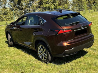 Lexus NX Series foto 7