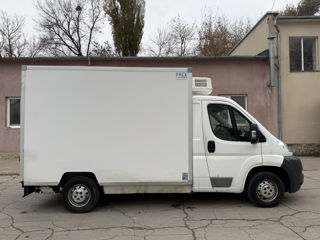 Fiat Ducato frigorific foto 4