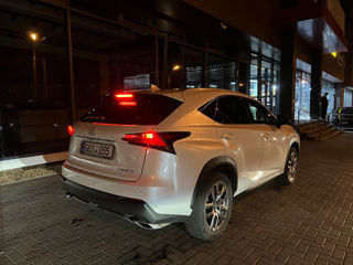 Lexus NX Series foto 5