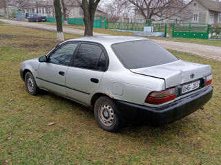 Toyota Corolla foto 6