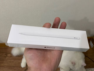 Apple Pencil 2 foto 1