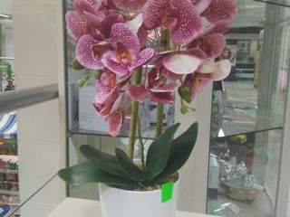 Искусственные цветы орхидея для домашнего декора./Flori artificiali foto 12