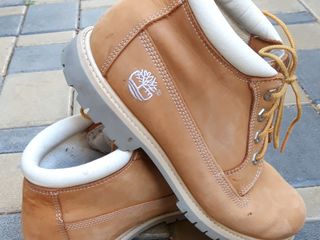 Timberland foto 4