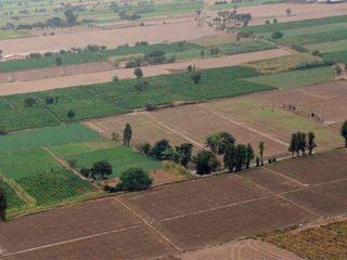 Cumpăr teren agricol in r-n Ialoveni. 5-20 hectare de pămînt in apropierea drumului foto 1