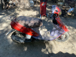 Honda dio foto 3