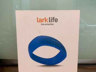 Lark Life WristBands