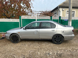 Nissan Primera foto 3