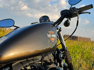 Harley - Davidson Sportster Iron 883 foto 7