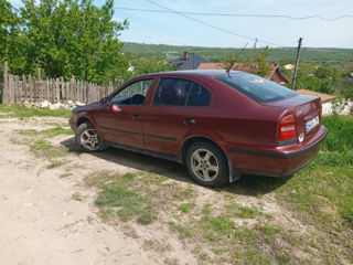 Skoda Octavia фото 4