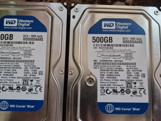 Western Digital Blue 500 Gb 3,5 New