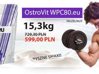 OstroVit-по самой выгодной цене в SportPiitt foto 4