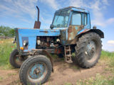 Tractor/трактор мтз 80 foto 3