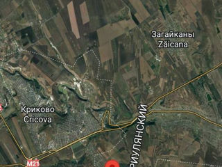 Участок , 11 км от Кишинева,есть небольшой домик, все коммуникации , рядом лес, 21 сотка foto 3