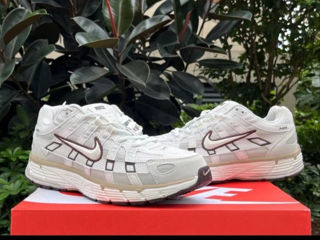 Nike P-6000 Earth Light Bone