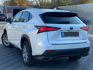 Lexus NX Series foto 4