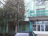 Бывший Agroindbank,г.Флорешть foto 5