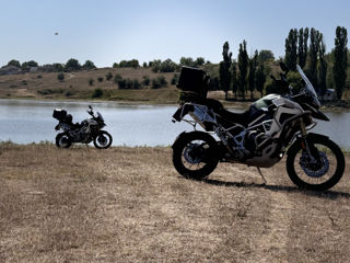 Triumph Tiger 1200 Rally Explorer  фото 4