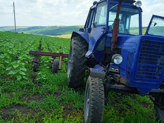 vind tehnica agrikola foto 3