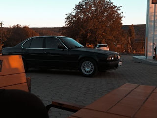 BMW 5 Series foto 10