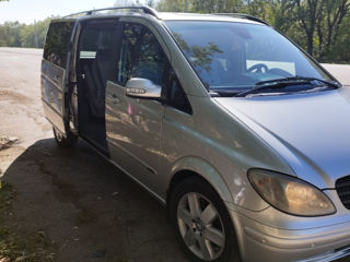 Mercedes Viano foto 5