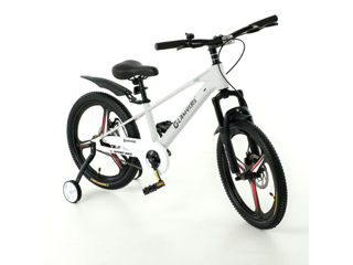 Велосипед на интегрированной магниевой раме и литых дисках-20"-2799 лей.