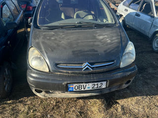 Citroien piese