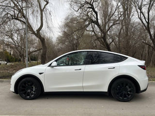 Tesla Model Y foto 6