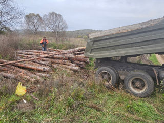 Kamaz