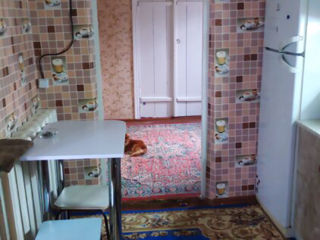 Продается дом в Карагаше (пригород Тирасполя) foto 10