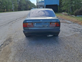 Nissan Primera foto 5