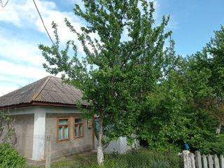 Продается дом foto 5