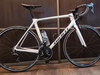 Giant TCR / carbon / shimano 105 / L