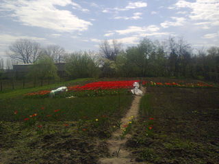 Продается земельный участок со строениями в с.Бардар foto 3