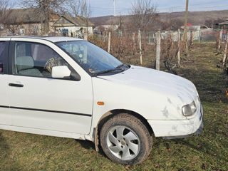 Seat Ibiza foto 7