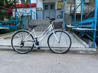Велосипед BiciMania Urban