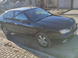 Nissan Primera foto 3