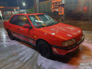 Nissan Primera foto 6