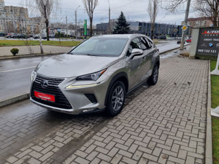 Lexus NX Series