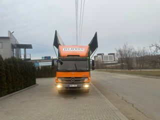 Servicii de Transport 3tonne - 10tonne in Chisinau