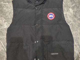 Vesta canada goose