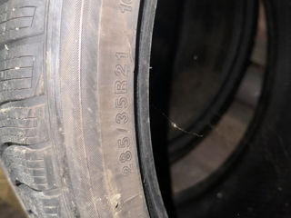 Anvelope Gripmax Status Pro Winter 285/ 35 R21 105V foto 3