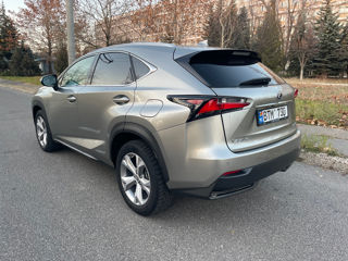 Lexus NX Series foto 4