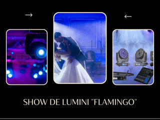 Show de lumini din SUA!  Профессиональное световое шоу с США. foto 2