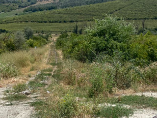 Vind teren agricol lingă traseu-Tohatin foto 3