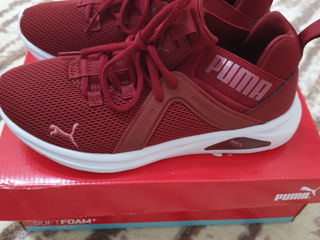 Puma 36m foto 2