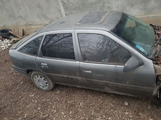 Vectra a foto 2